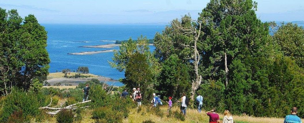 Chiloé National Park, Chiloé Island, Los Lagos Region, Chile